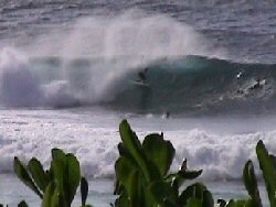 Surf Wise 10 Elite Advanced